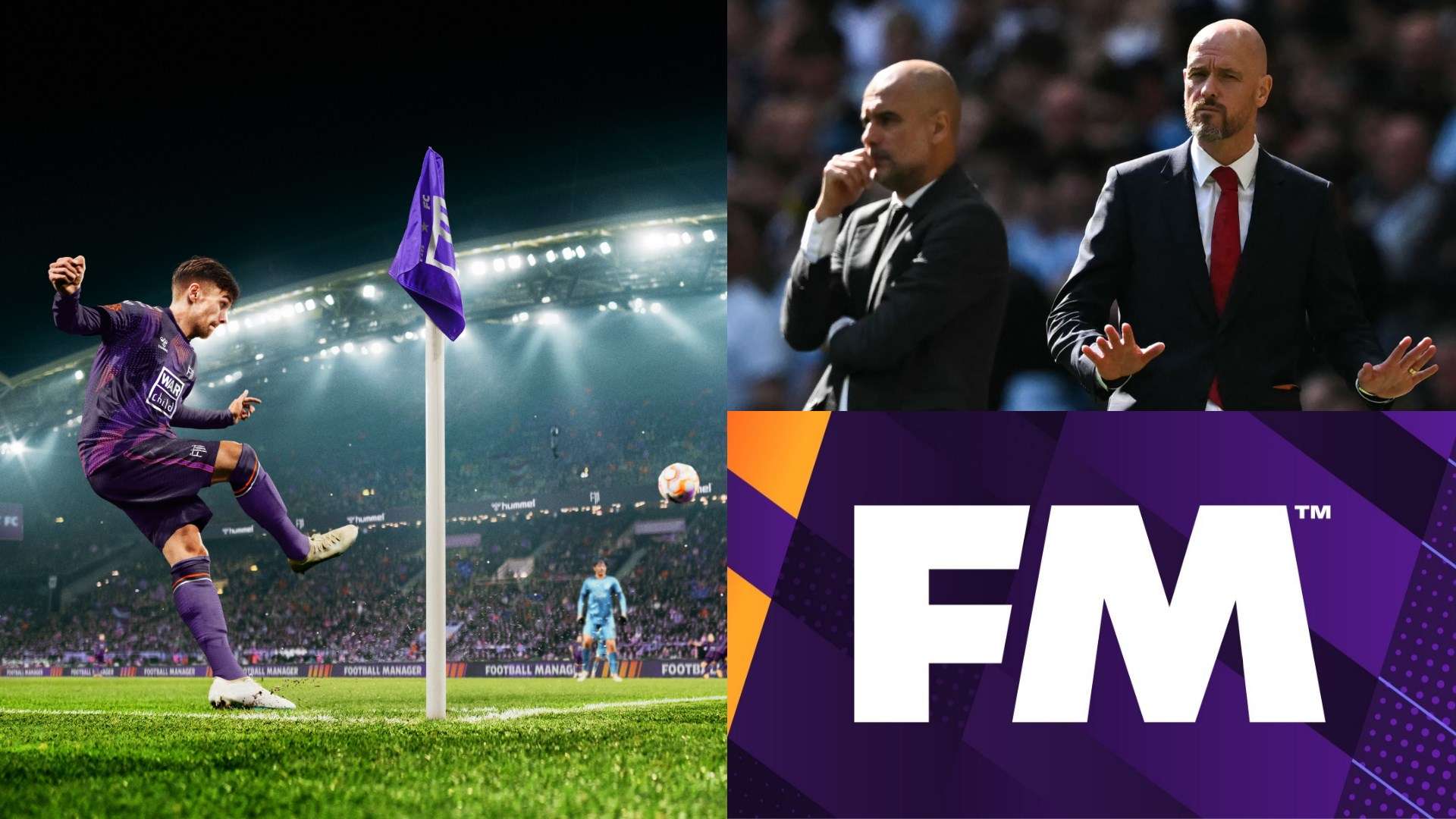 的组织与紧 的组织与紧