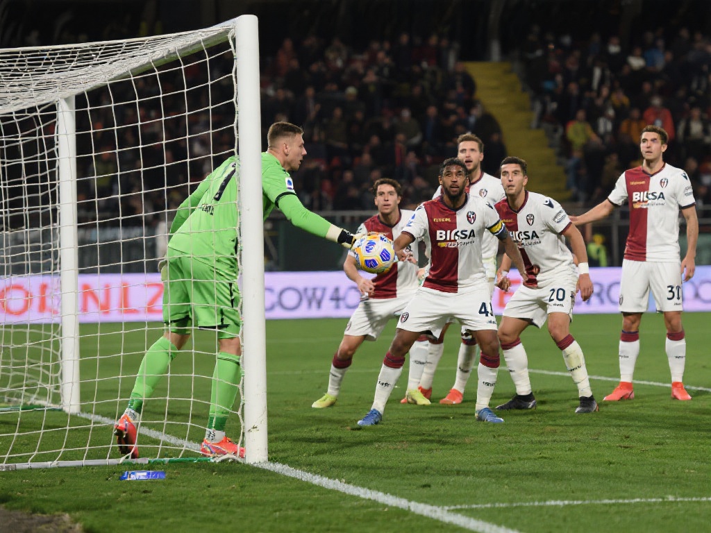 足的热爱 足的热爱